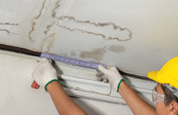 Reliable Sewage Cleanup contractor in Alma, CO by Water Damage Irwin